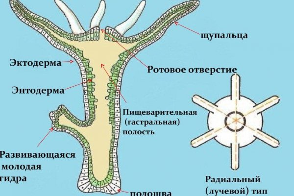 Главная страница кракен