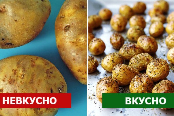 Даркнет ссылка