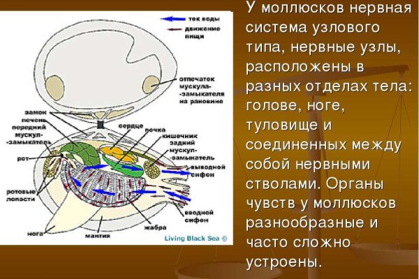 Как через сафари зайти на кракен