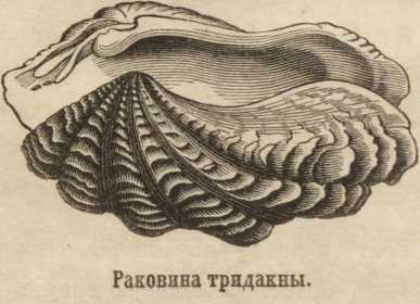 Кракен официальный сайт